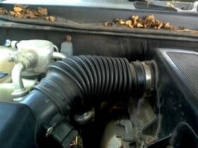 338.gm8h06 Chevrolet Truck Trailbext 2006 Air Tube/resonator 147531