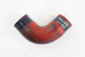 4942580 Cummins Elbow Hose