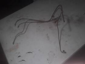 Cfe4601 Gm 1941 Chevy Car Fuel Vacuum Lines To Carb 42 46 47 48 With 216 Trucks Too