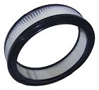 J8991386 Crown Automotive Jeep Replacement Air Filter 848399072822