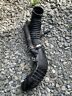 W0133-2619777-oes Mazda Engine Air Intake Hose Genuine Turbo