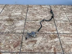 Infiniti Q50 Q60 16-24 Oem Engine Motor Fuel Damper Hose Pipe Tube Line 3.0T. Fixed Price $74.95.