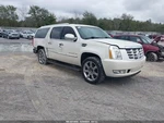 (box Only-no Tubes) Air Cleaner Fits 09-14 Escalade 1179139. Fixed Price $104.90.