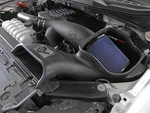 Afe Magnum Force Pro 5R Cold Air Intake 2021-2025 Ford F-150 3.5L Ecoboost. Fixed Price $356.04.