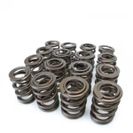 SKUNK2 Alpha Valve Dual Spring Set Fits 02-11 Civic / Cr-v Accord Rsx Tsx. Fixed Price $253.91.