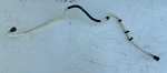 Bentley Continental Gt V8 MK2 - 2018 Breather Pipe Line 3W8201160B. Fixed Price $133.25.