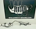 Jeep Tj Wrangler 03-06 4.0 Fuel Line Bundle Engine Rail To Frame Stainless. Fixed Price $85.80.