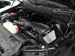 Afe Magnum Force STAGE-2 Cold Air Intake 2015-2025 Ford F-150 Ecoboost 2.7L. Fixed Price $354.00.