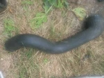 Saab 9-5 95 Turbo Hose High Pressure From 2006 Cylinder 4966701. Fixed Price $19.57.