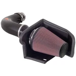 K&n 57-2541 Cold Air Intake 97-02 Ford Expedition / 97-03 F150 4.6L 5.4L V8. Fixed Price $331.26.
