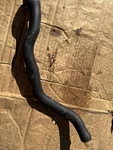 Oem Mercedes W107 W126 R107 Air Pump Hose 81-85 380SLC V33. Fixed Price $25.00.