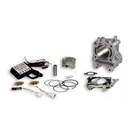 Malossi I-tech 61 Pin Cylinder For Honda 125 Sh 2013-2019. Fixed Price $649.43.