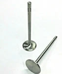 Bmw 11341309487 M3 E30 S14 87-91, M5,M6, M635CSI S38 85-89 Exhaust Valve. Fixed Price $59.90.