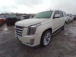 Air Cleaner Fits 17-20 Escalade 12631822. Fixed Price $116.02.
