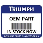 Qty 4 Triumph Oem Screw Lge Skt/hd M6 X 22 T3330508-T0301. Fixed Price $24.99.