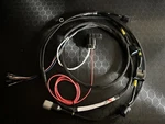 B Series K20 K24 Tronicworkz Coils Retrofit Harness W/ T1 Trigger Wiring. Fixed Price $149.00.