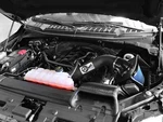 Afe Magnum Force STAGE-2 Cold Air Intake 2015-2017 Ford F-150 V8 5.0L. Fixed Price $345.92.