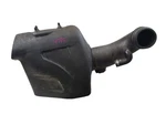 Air Cleaner Diesel Fits 08-09 Ford F250SD Pickup 595989. Fixed Price $254.00.