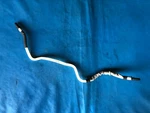 Bmw Mini One/cooper Fuel Tank Air Pipe (part #: 16137323846) F55/F56/F57 2014+. Fixed Price $20.18.