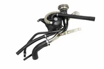 Genuine Oem Upper Fuel Tank Filler Neck For Mercedes-benz C240, C320 2034701920. Fixed Price $362.12.