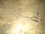 1988-1991 Corvette Front Gas Fuel Lines, (2), Gm 10052172 10052171. Fixed Price $67.99.