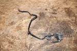 Mercedes-benz W209 Clk Class Fuel Gas Evaporator Damper Assembly Unit Oem. Fixed Price $39.99.