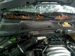 Air Resonator Tube Fits 01 Audi A4 2.8L 147851. Fixed Price $40.00.