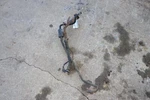 2009-2010 Dodge Ram 1500 4.7L Fuel Tank Filler Neck Pipe Tube Oem. Fixed Price $83.40.