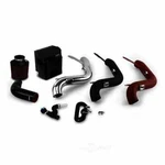 Engine Cold Air Intake-s Mishimoto MMAI-FIST-16P. Fixed Price $485.95.