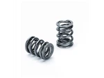 Supertech Honda B16A/B17A/B18C Dual Valve Spring - Set Of. Fixed Price $247.33.