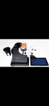 Steeda Closed Cold Air Intake 2015-2023 Mustang Gt 5.0 (pn 555-3220)NEW Box. Fixed Price $400.00.