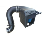 Injen Evolution Cold Air Intake System For Dodge/ram Trucks L6-6.7L Turbo Diesel. Fixed Price $347.50.