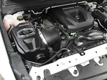 Afe Momentum Gt Cold Air Intake Kit For 16-22 Colorado Canyon 2.8L Lwn Diesel. Fixed Price $377.20.