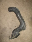 2005 -2007 Ford Escape 2.3L Air Filter Inlet Hose Oem. Fixed Price $15.00.