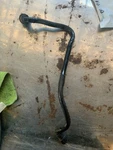 07-13 Mini Cooper S Fuel Tank Vent Pipe Q3332. Fixed Price $22.50.