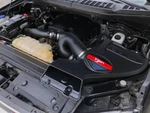 Injen EVO9104 Evolution Air Intake For 2017-2025 F-150 3.5L Ecoboost And Raptor. Fixed Price $295.38.
